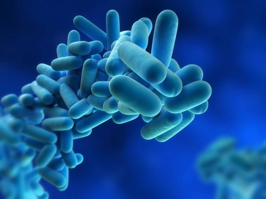 Legionella risk assessment