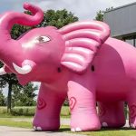 Inflatable Animals