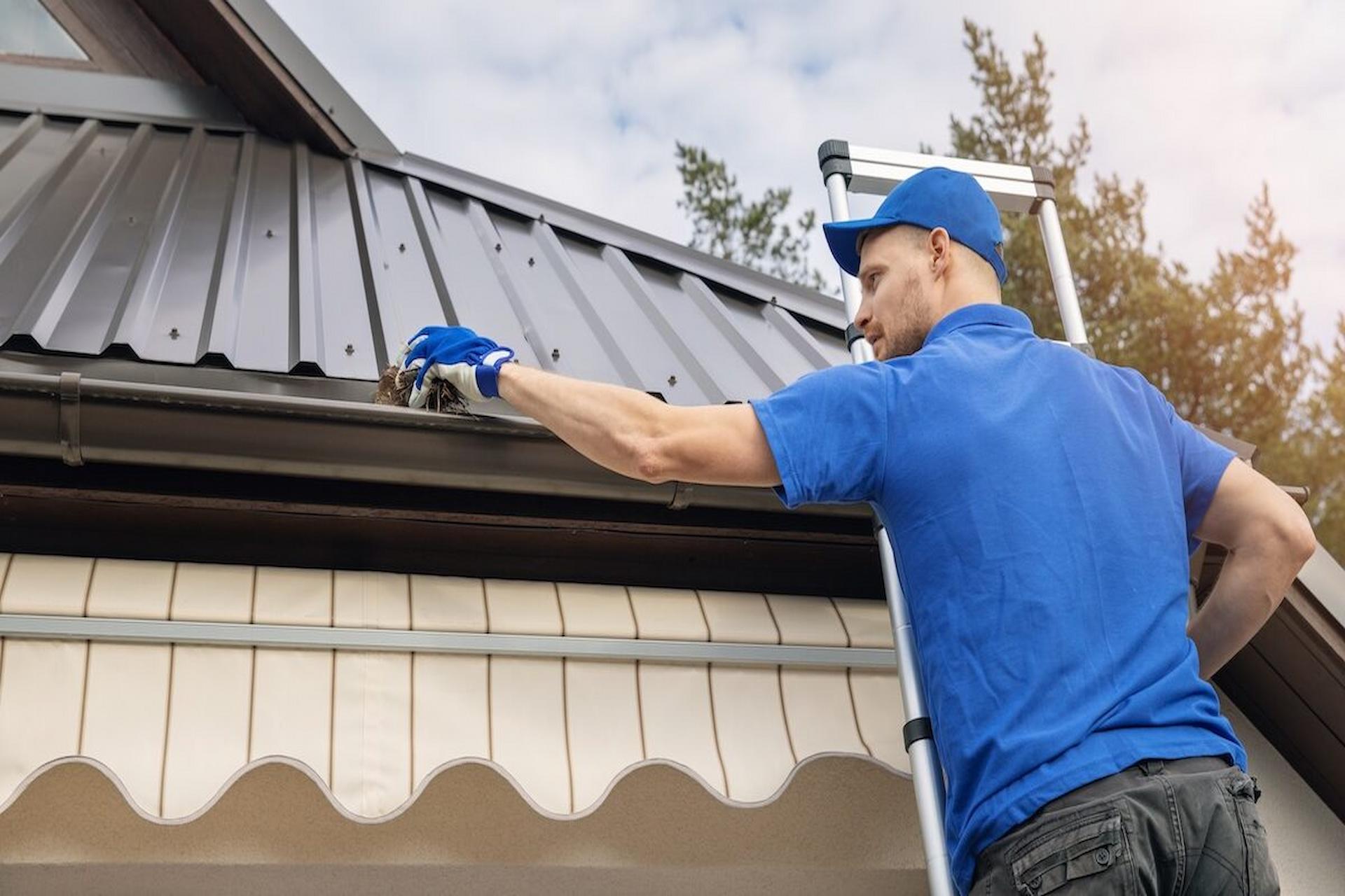 Roofing Maintenance